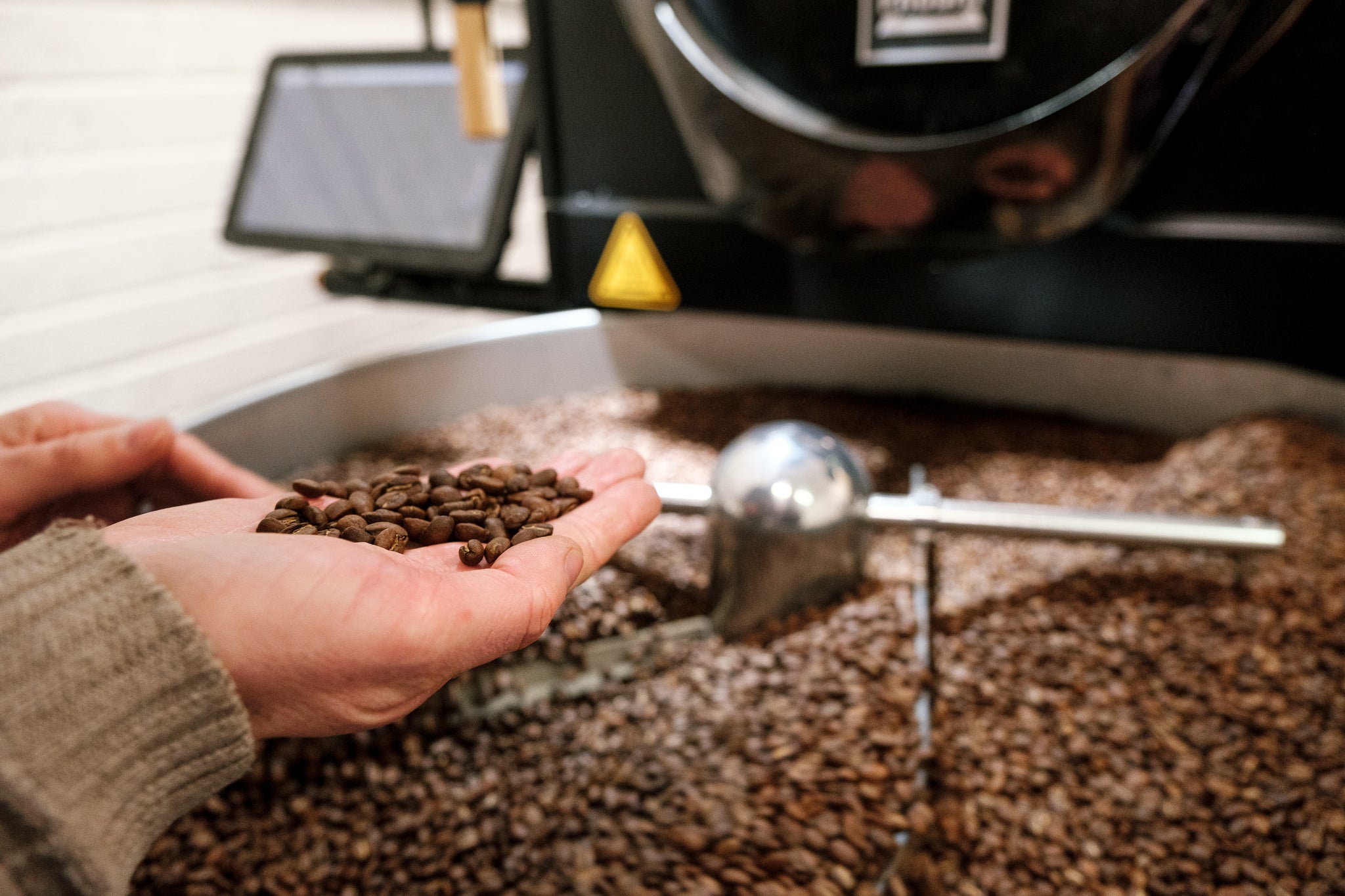 Geometry Coffee Wholesale – Geometry Coffee