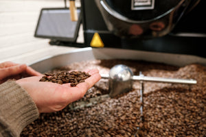 Geometry Coffee Roasters wholesale supply roasted coffee beans